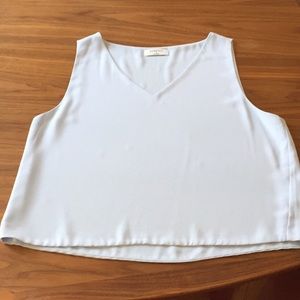 Aritzia Cropped Blouse